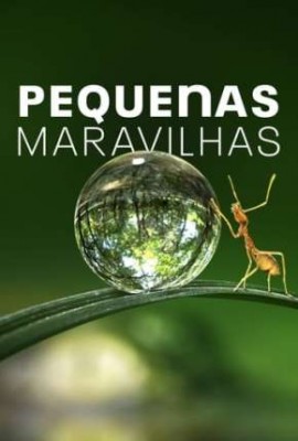 PEQUENAS MARAVILHAS - 1 TEMPORADA