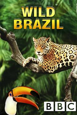BBC - WILD BRAZIL 