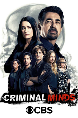  CRIMINAL MINDS - 12 TEMPORADA 