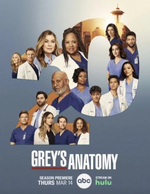 GREY�S ANATOMY - 20� TEMPORADA